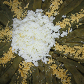 Mongetes verdes 'mimosa'